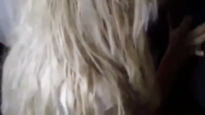 Blonde Amateur in Glasses Blowjob and Titty Fun