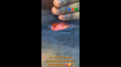 Ma chate et très gourmandes regarde ❤️?