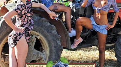 La Saison Des Vendanges (2017)