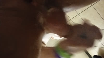 Thinking about your pussyMa