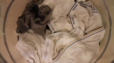 Daddy Bear's After-Work Delight