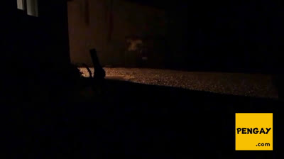 Sissy Schoolgirl Cathy's Outdoor Adventure