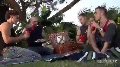 Two couples at the picnic