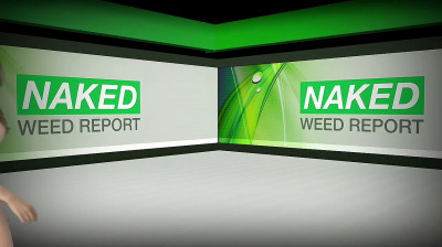 Episode 74 Kanye West Face, Marijuana Stocks, and More! (Erika Jordan) - FULL Original (Enhanced by Avinion)
