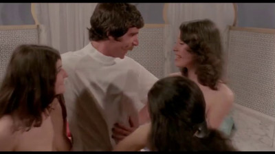 classic couple & foursome scenes 8