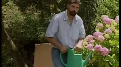 classic dp scenes 20
