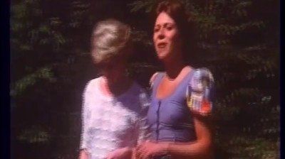 Fäbodjäntan (1978)